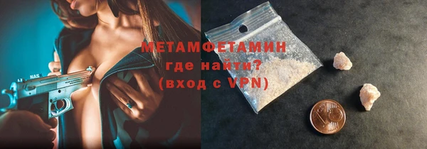 шишки Абаза