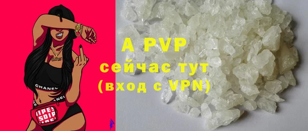 шишки Абаза
