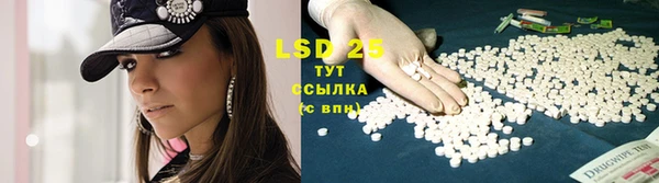 шишки Абаза