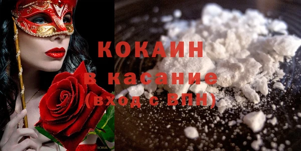 шишки Абаза