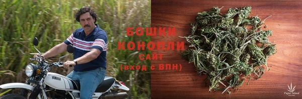 шишки Абаза