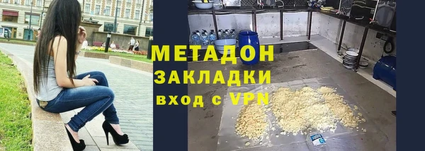 шишки Абаза