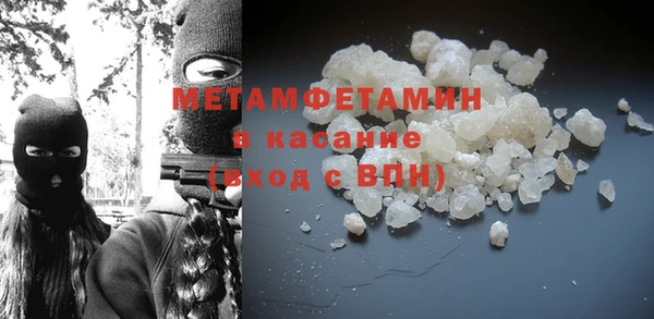 шишки Абаза